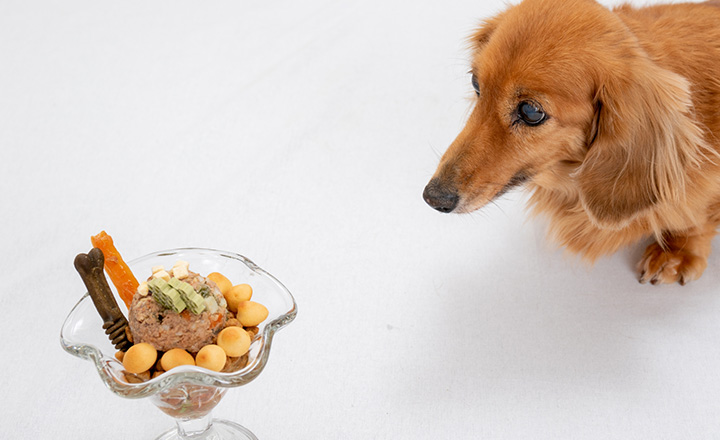 愛犬や愛猫に 食べ物系やお菓子系で名付けるペットの名前 さかぽんブログ Miyazaki Life