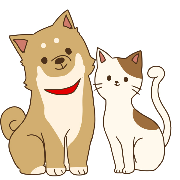 愛犬や愛猫に 和風なペットの名前 さかぽんブログ Miyazaki Life